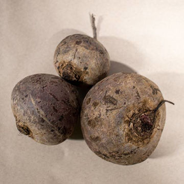 Picture of Pilgrim Fresh Produce Raw Beetroot (Avg 1kg )