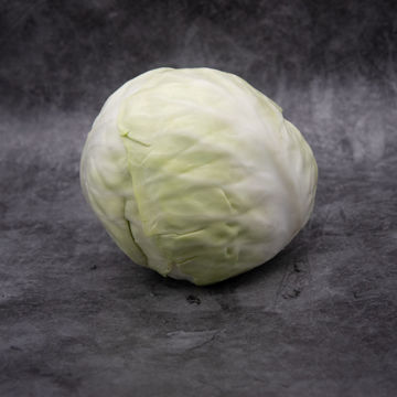 Picture of Leggates White Cabbage (Avg 1kg )