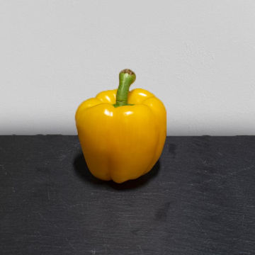 Picture of Pilgrim Fresh Produce Yellow Pepper (Avg 1kg )