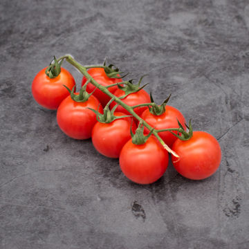 Picture of Pilgrim Fresh Produce Cherry Tomatoes on the Vine (500g Wt)
