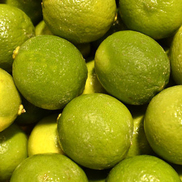 Picture of Pilgrim Fresh Produce Limes (54)