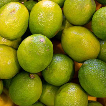 Picture of Pilgrim Fresh Produce Limes (60)