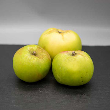 Picture of Pilgrim Fresh Produce Bramley Apples (Avg 1kg )