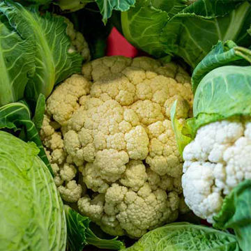 Picture of Pilgrim Fresh Produce Cauliflower (8)