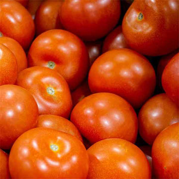 Picture of Pilgrim Fresh Produce Salad Tomatoes (1kg Wgt)