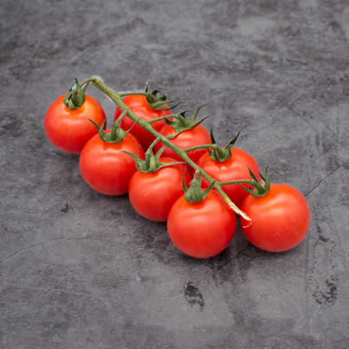 Picture of Pilgrim Fresh Produce Cherry Tomatoes on the Vine (500g Wt)