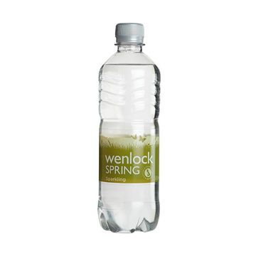 Picture of Wenlock Spring Sparkling Water (24x500ml)