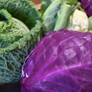 Fresh Savouy and Red Cabbages