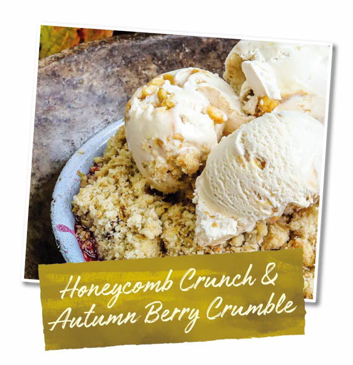 Honeycomb Crunch and Autumn Berry Crumble